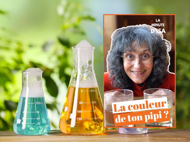 What Does Your Urine Color Say About You?